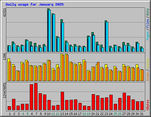 Daily usage for January 2025