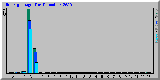 Hourly usage for December 2020