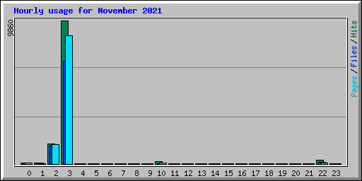 Hourly usage for November 2021