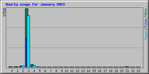 Hourly usage for January 2023