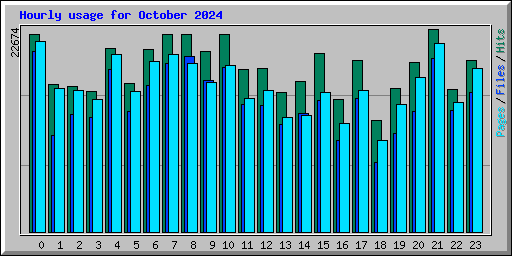 Hourly usage for October 2024