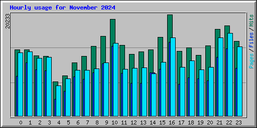 Hourly usage for November 2024