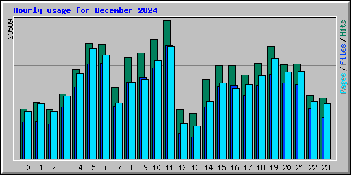 Hourly usage for December 2024