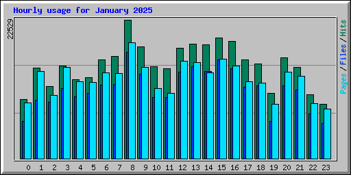 Hourly usage for January 2025