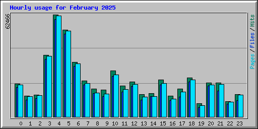 Hourly usage for February 2025