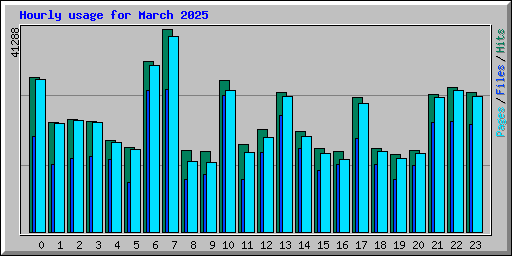 Hourly usage for March 2025