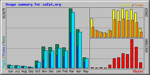 Usage summary for safpt.org